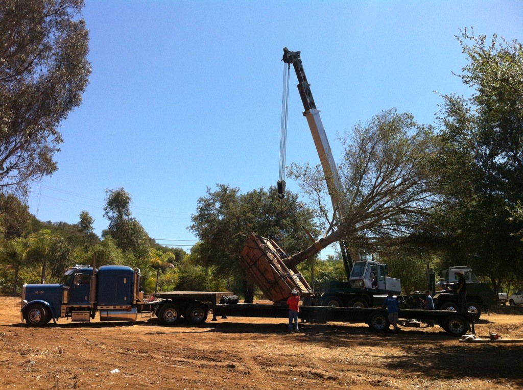 Historical tree handling with a crane